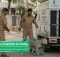 Mass dog vaccination in India