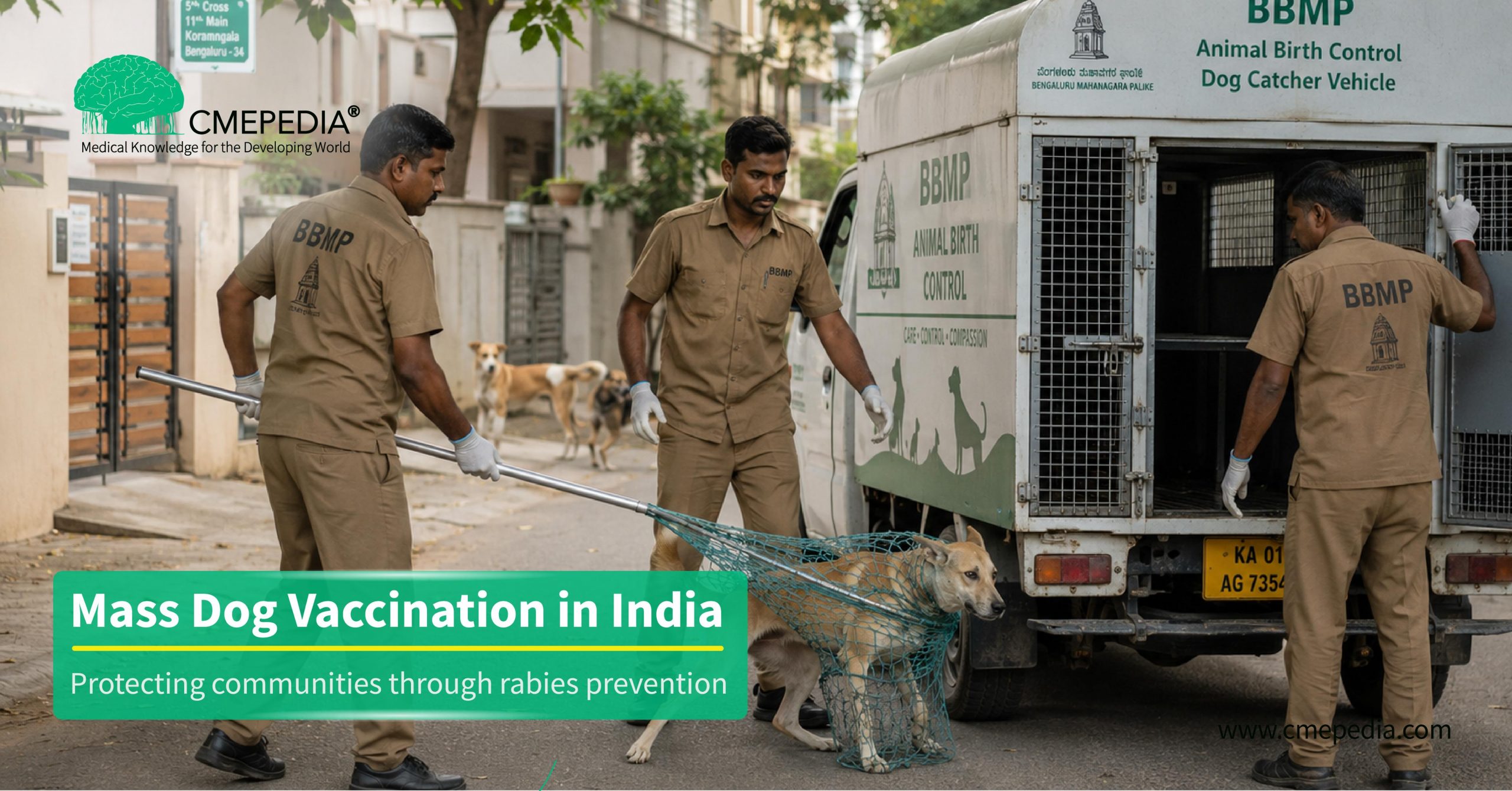 Mass dog vaccination in India