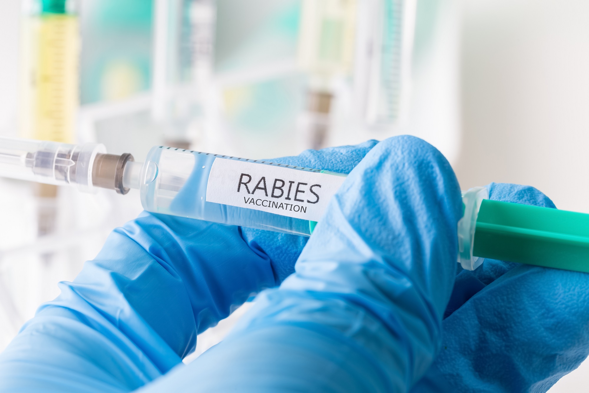 Rabies vaccination in India